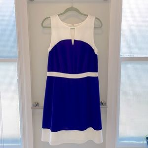 LOFT Size 8 Dress NWT